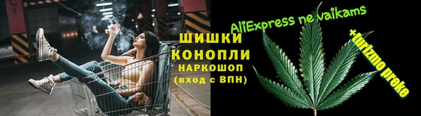 индика Осинники