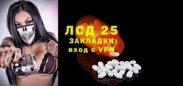 ГАЛЛЮЦИНОГЕННЫЕ ГРИБЫ Аркадак