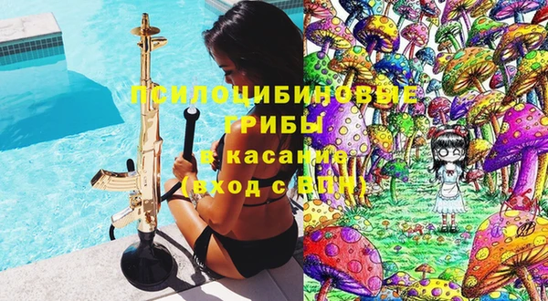 гашик Балахна