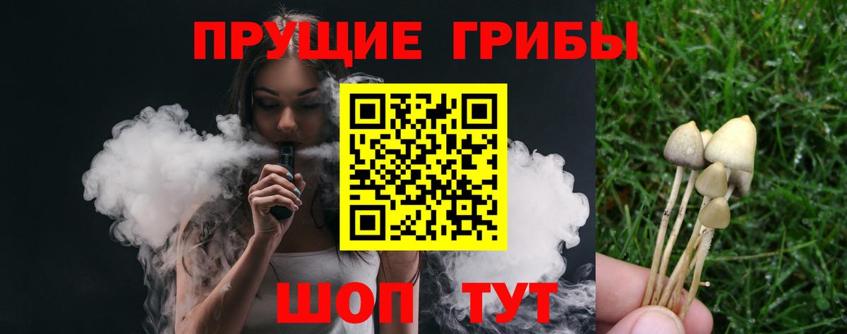 Черняховск  как найти наркотики  Вход с VPN  Псилоцибиновые грибы Cubensis 